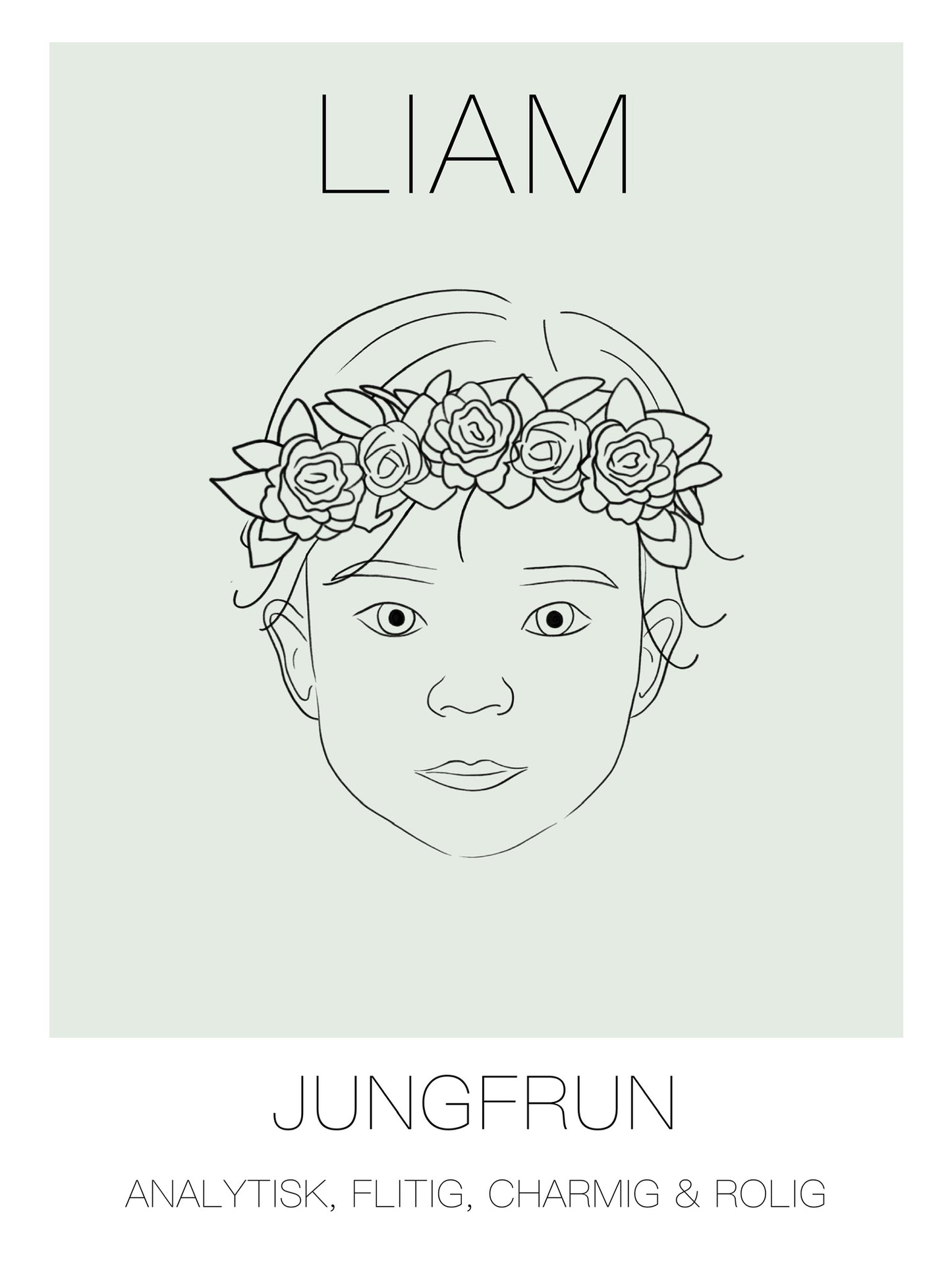 Poster Jungfrun Kille