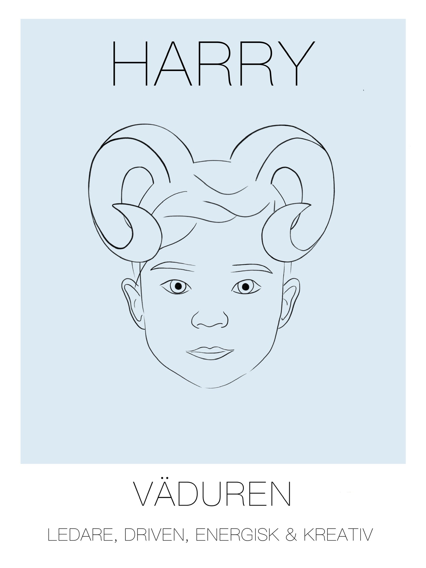 Poster Vädur Kille