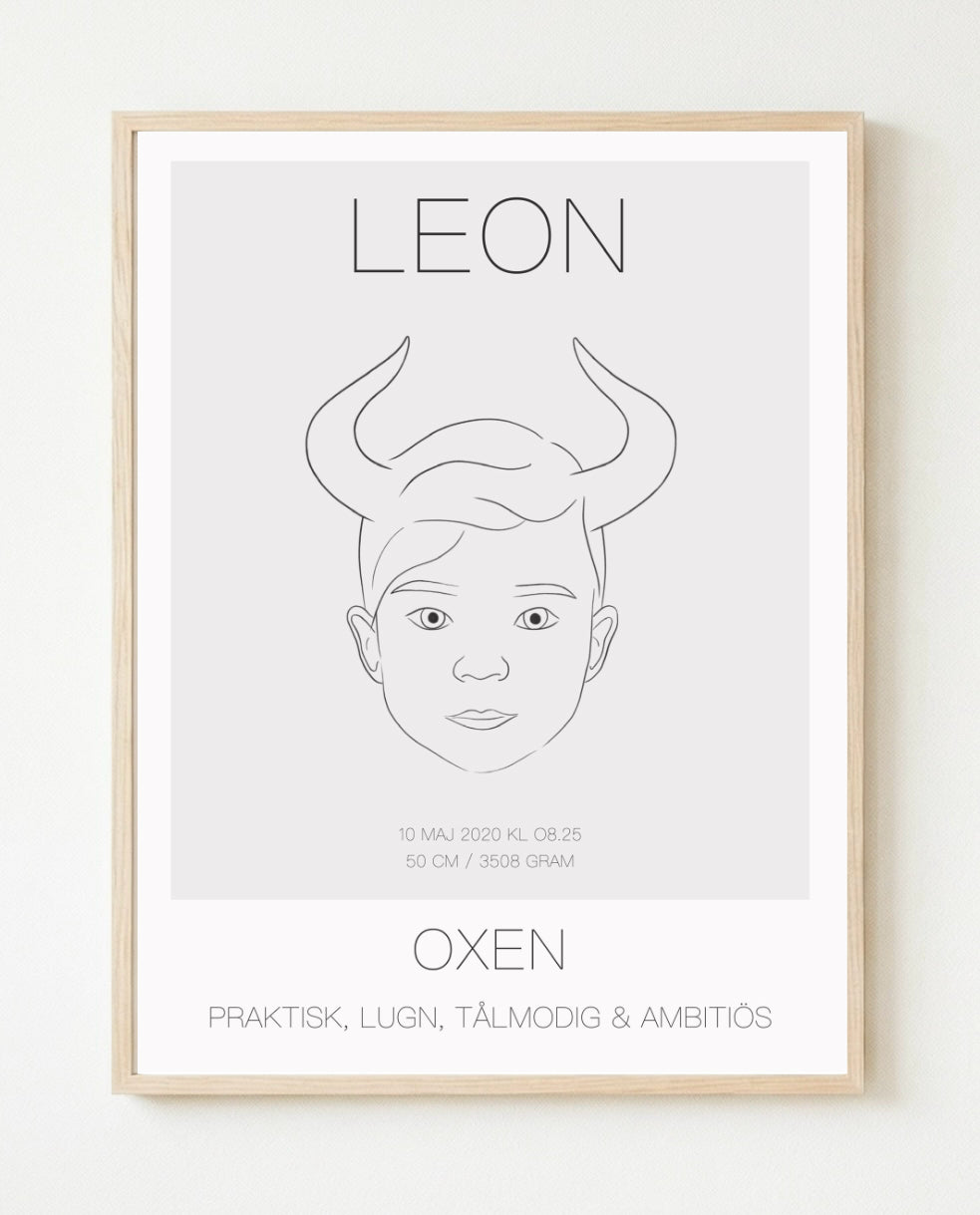Poster Oxen Kille