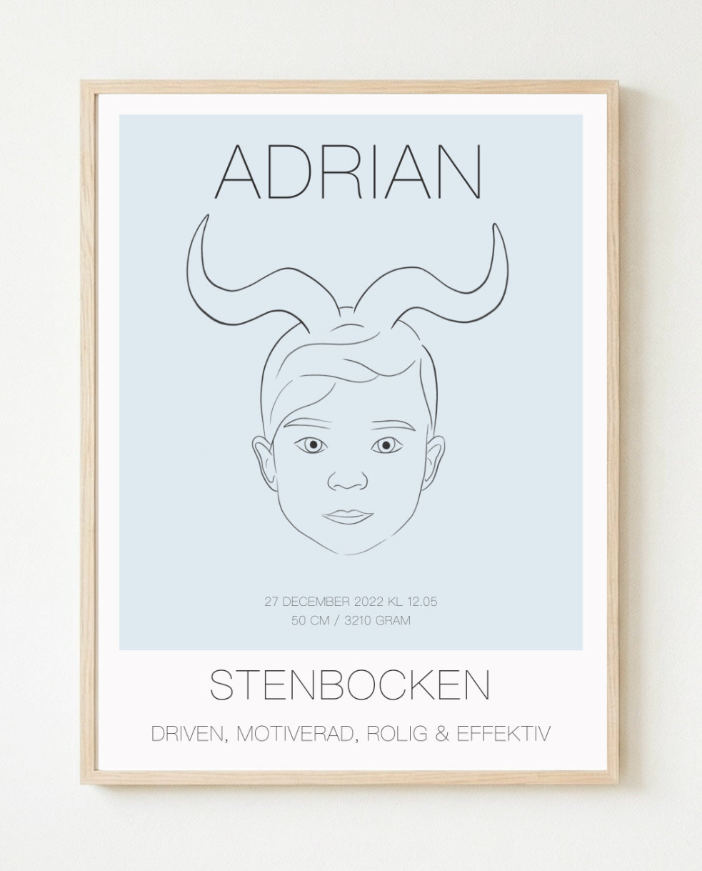 Poster Stenbocken Kille
