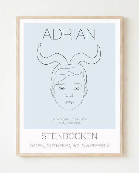 Poster Stenbocken Kille