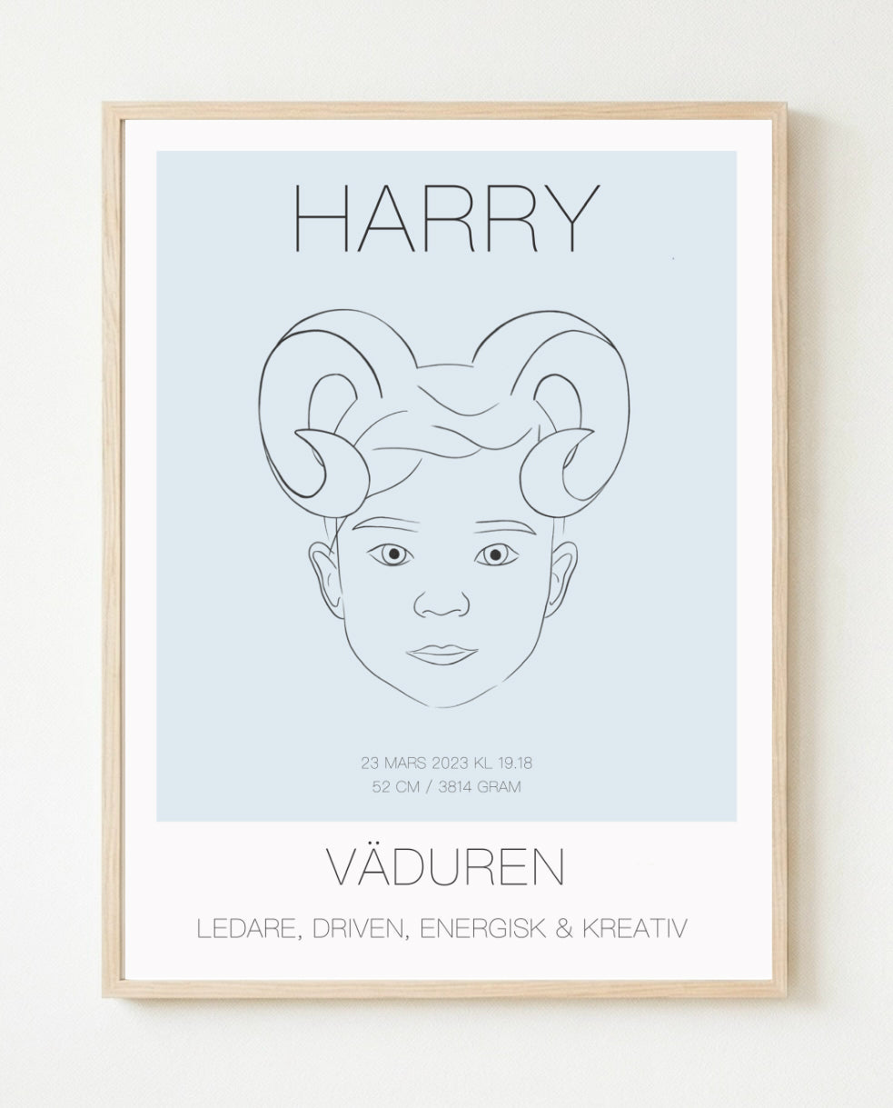 Poster Vädur Kille